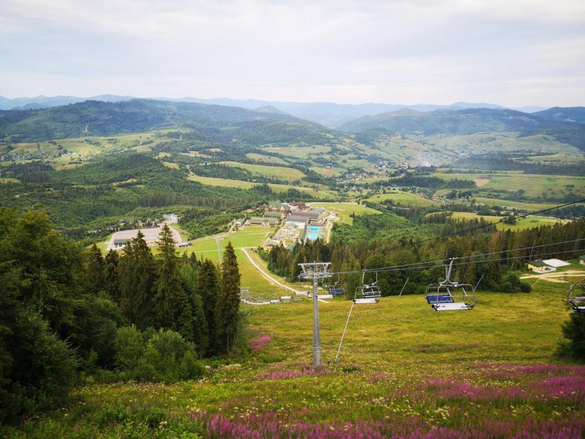 Карпатська Ружа Plave Ngoại thất bức ảnh